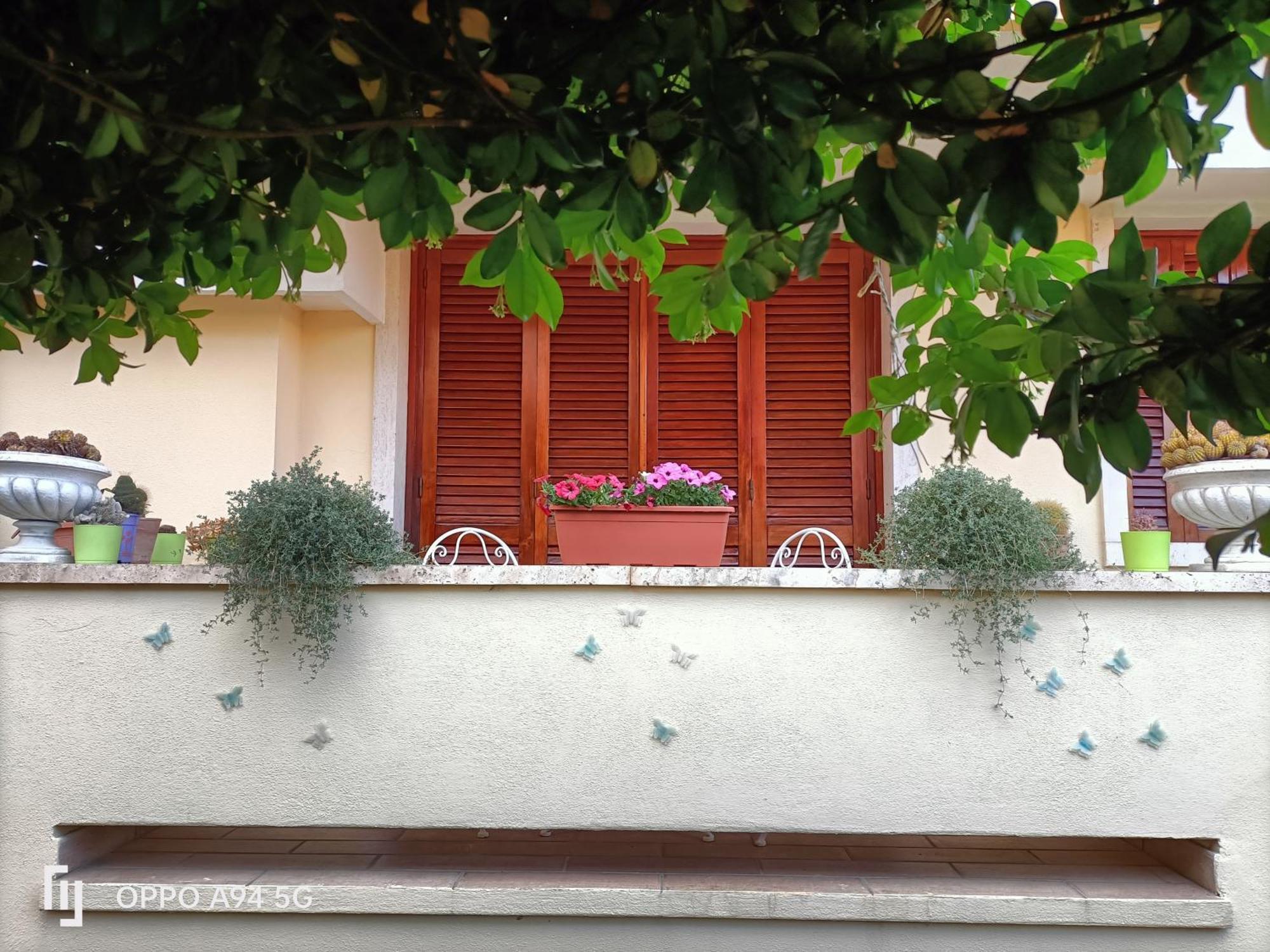 Gemma Di Gallura Charme B&B Olbia Exteriér fotografie