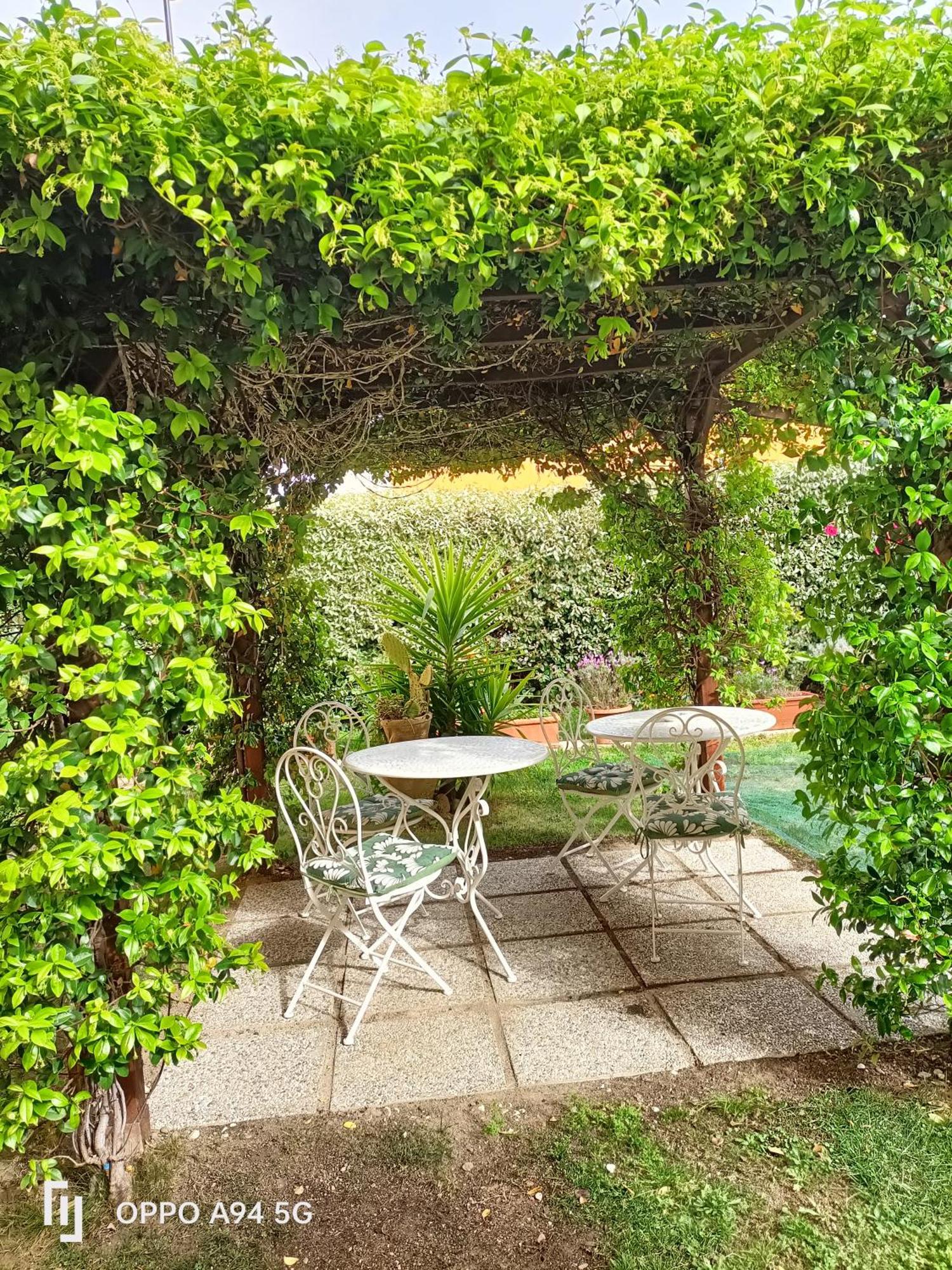 Gemma Di Gallura Charme B&B Olbia Exteriér fotografie