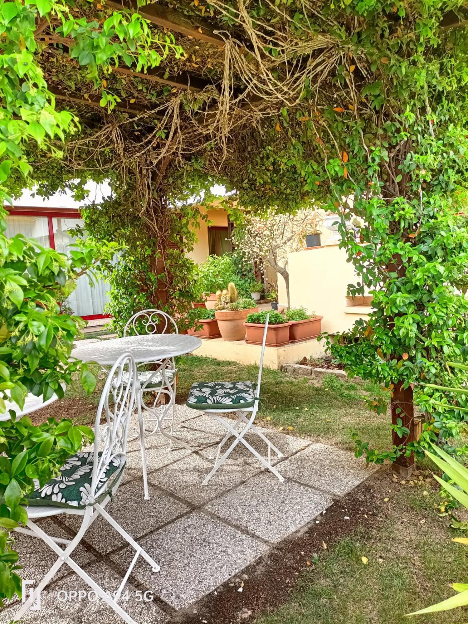 Gemma Di Gallura Charme B&B Olbia Exteriér fotografie
